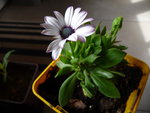 P1040148.JPG