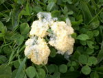 Photo-0001.jpg