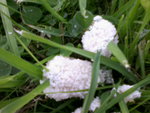Photo-0003.jpg