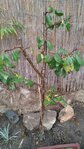 rps20151030_085959.jpg