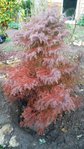 rps20151030_085914.jpg