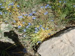 photo 5.JPG