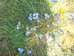 photo 6.JPG