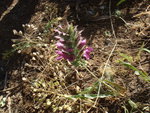 photo 7.JPG