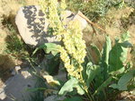 photo 9.JPG