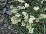 photo 10.JPG