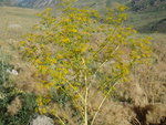 photo 11.JPG