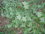 photo 14.JPG
