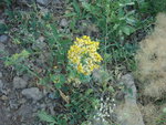 photo 15.JPG
