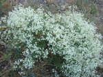 photo 16.JPG