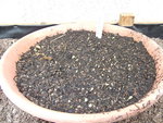 DSCF2207.jpg