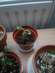 20151102_173705.jpg
