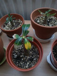 20151102_173716.jpg