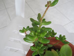Image4.jpg