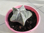 Image7.jpg