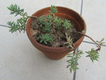 Image8.jpg
