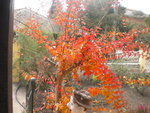 DSCN6512.JPG