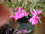 DSCN6522.JPG