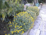 DSCN6524.JPG