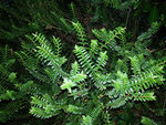 20151107_175924.jpg