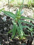 10.09.2008 025.jpg