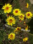 10.09.2008 044.jpg