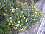 DSCN6523.JPG