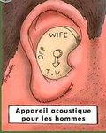 Oreille.jpg
