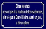 Chêne.jpg