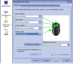 souris.JPG