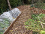 DSCF2222.jpg
