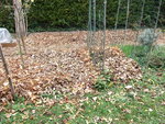 DSCF2223.jpg