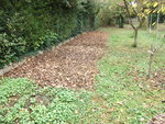 DSCF2224.jpg