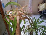20151112_155300.jpg