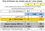 Fertilsation tomates avec urine humaine.PNG