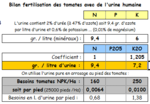 Fertilisation tomates avec urine hummaine (corrigé).PNG