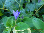 DSCN2613.JPG