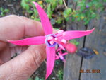 DSCN2586.JPG