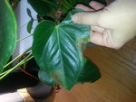 20151123_103244.jpg