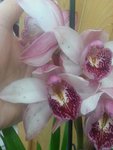 20151205_114521.jpeg