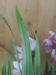 20151205_114758.jpeg