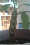 bloggif_56647b3175161.jpg