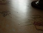 et tout cela termine sur la table