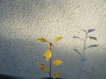 DSCF6829.jpg