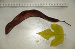 DSC_3966.JPG