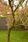 Photo 3.JPG