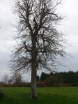 20151220_112038.jpg