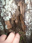 20151220_112217.jpg