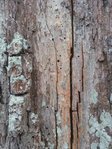 20151220_112238.jpg