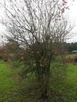 20151114_104637.jpg